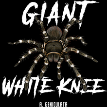 Load image into Gallery viewer, Giant White Knee Shirt