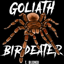 Load image into Gallery viewer, Goliath Bird Eater Shirt