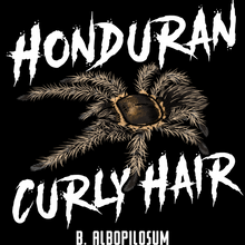 Load image into Gallery viewer, Honduran Curly Hair Shirt