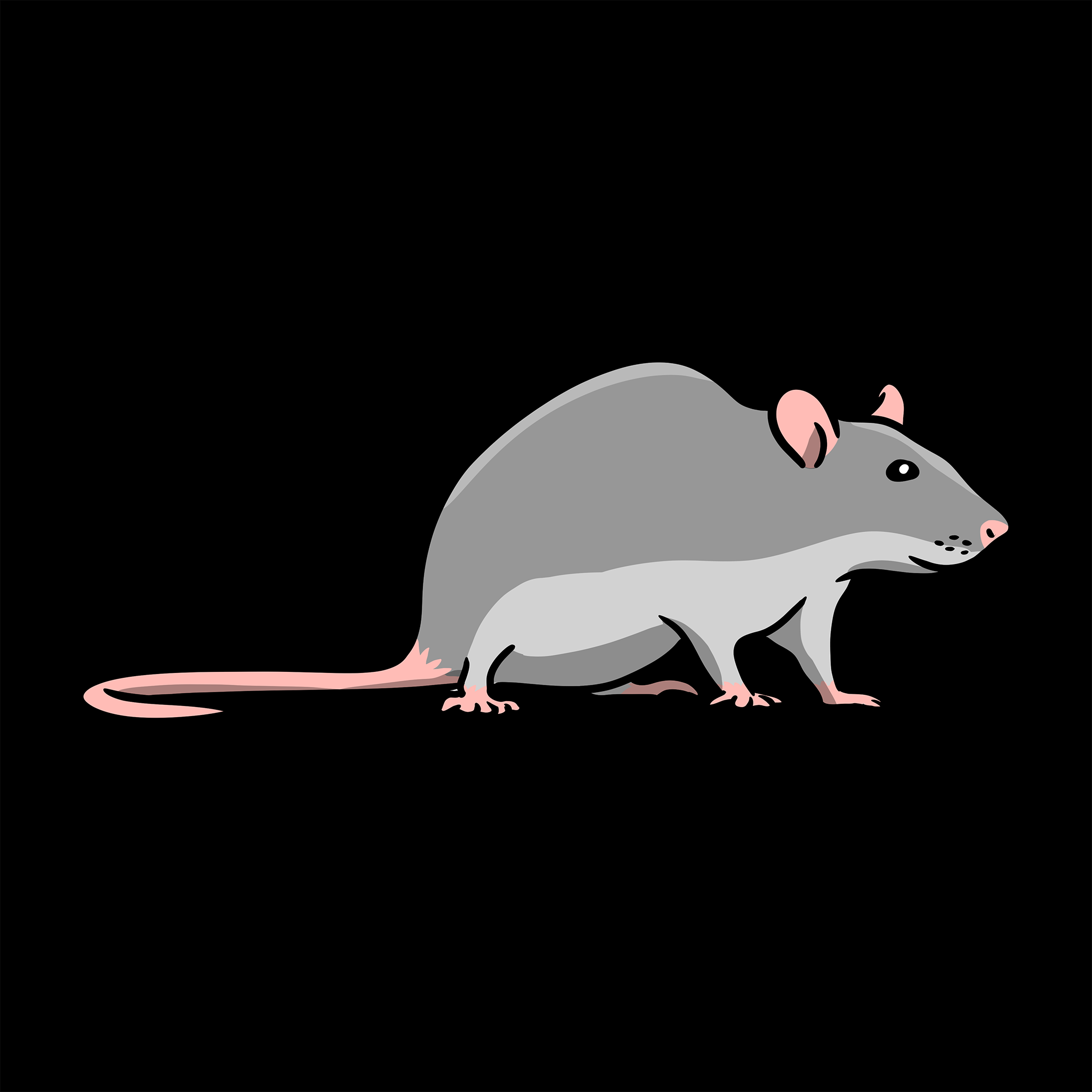 Live Rats-Live Rats