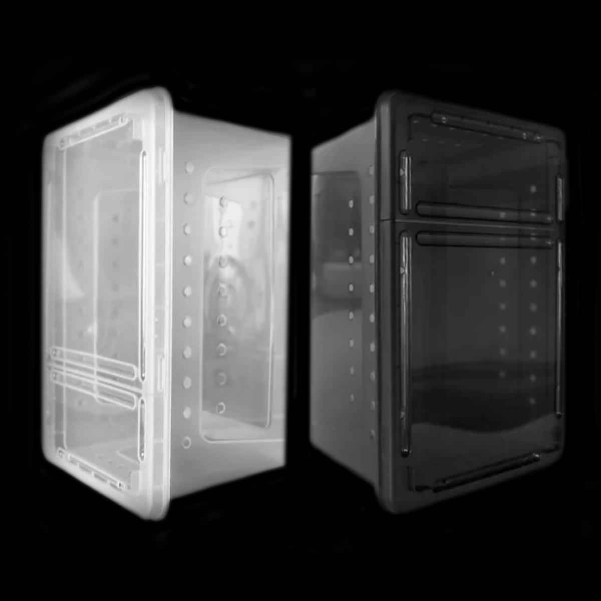 Stackable Box Enclosure – Arachnid Shop