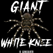 Load image into Gallery viewer, Giant White Knee Shirt
