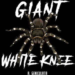 Giant White Knee Shirt