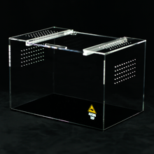 Load image into Gallery viewer, Medium Terrestrial - Wholesale
