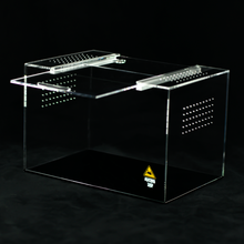 Load image into Gallery viewer, Medium Terrestrial - Wholesale
