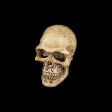 Load image into Gallery viewer, Large Realistic Human Skull
