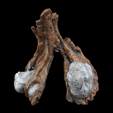 Load image into Gallery viewer, Rocky Tree Trunk - Wholesale

