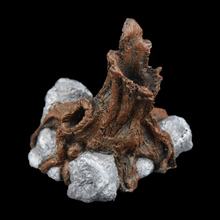 Load image into Gallery viewer, Rocky Tree Trunk - Wholesale
