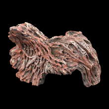 Load image into Gallery viewer, Fallen Tree Stump - Wholesale
