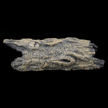 Load image into Gallery viewer, Tree Log - Wholesale
