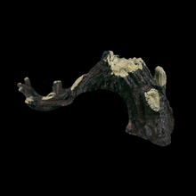 Load image into Gallery viewer, Broken Tree Branch - Wholesale
