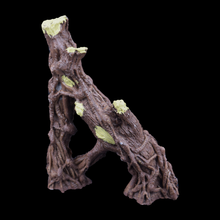 Load image into Gallery viewer, Root Covered Tree - Wholesale

