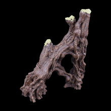 Load image into Gallery viewer, Root Covered Tree - Wholesale
