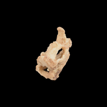 Load image into Gallery viewer, Dinosaur Skull - Wholesale

