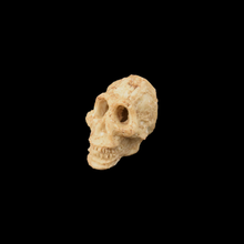 Load image into Gallery viewer, Small Human Skull

