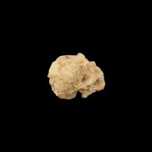 Load image into Gallery viewer, Small Human Skull - Wholesale
