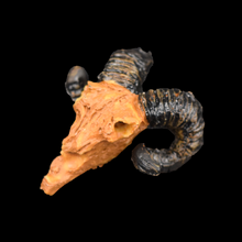 Load image into Gallery viewer, Rams Skull

