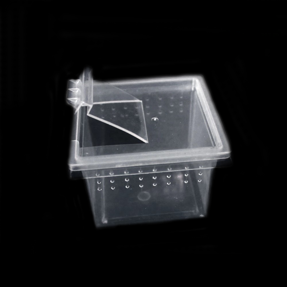 Sling Box – Arachnid Shop