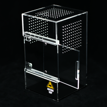 Load image into Gallery viewer, Small Arboreal Solid Top - Wholesale
